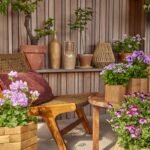 charlotte cowell ekpa9vxc5n4 unsplash (1) (1)