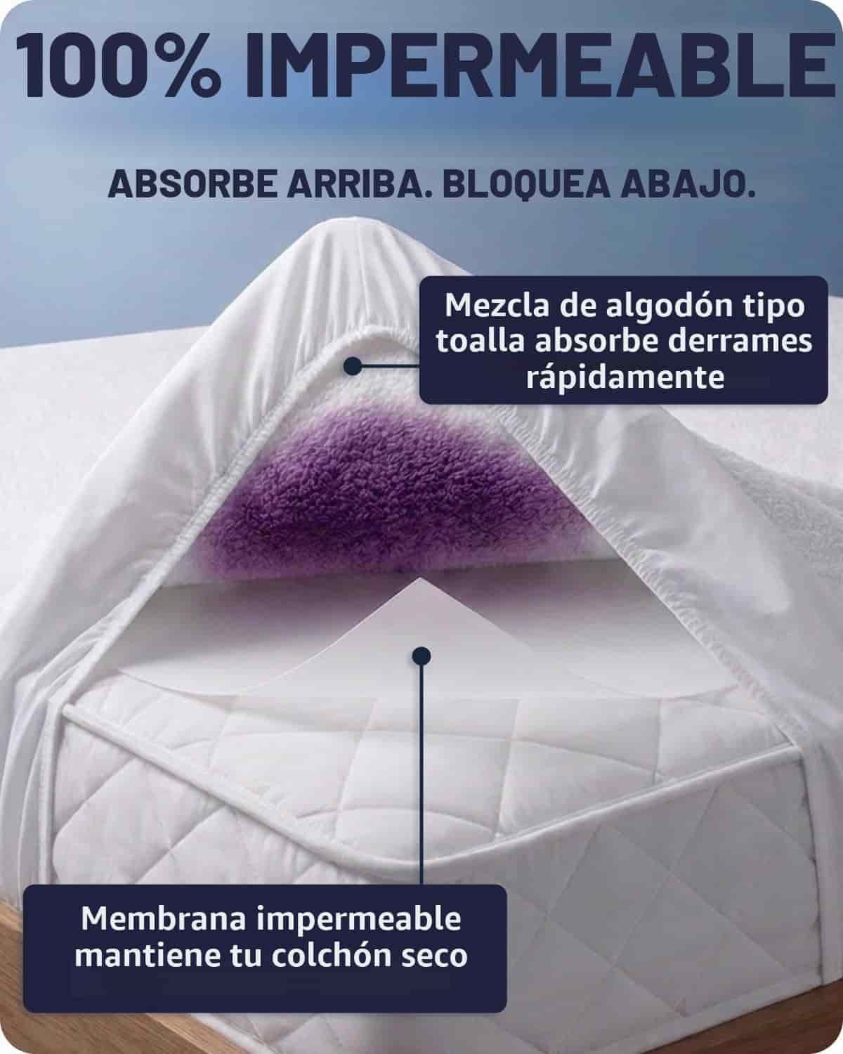 freidora de aire nija 2 secciones
